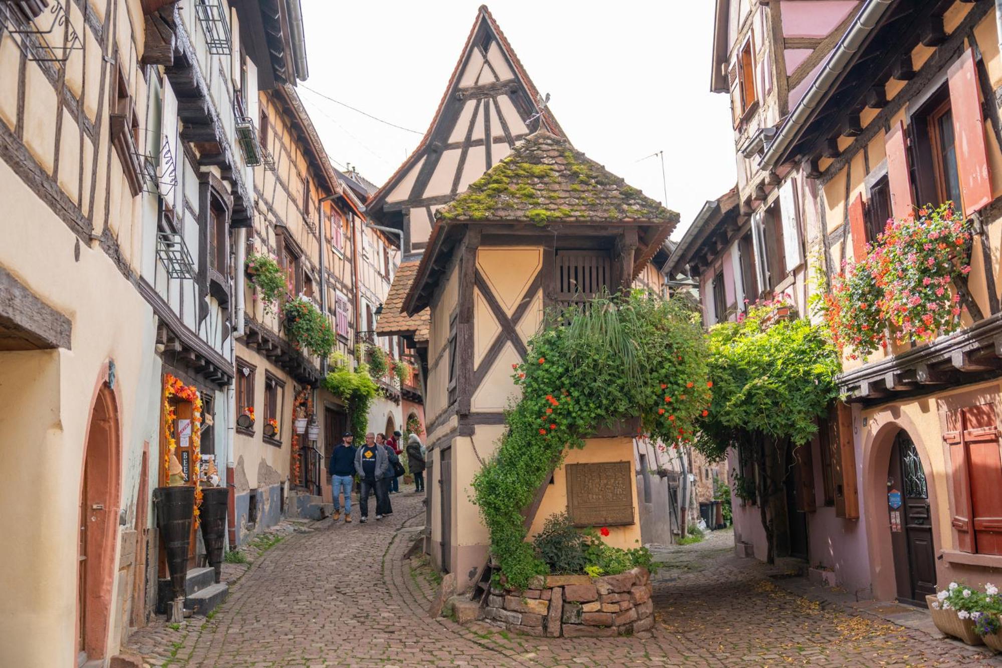 Chambre Rose Des Vents Eguisheim Eksteriør billede