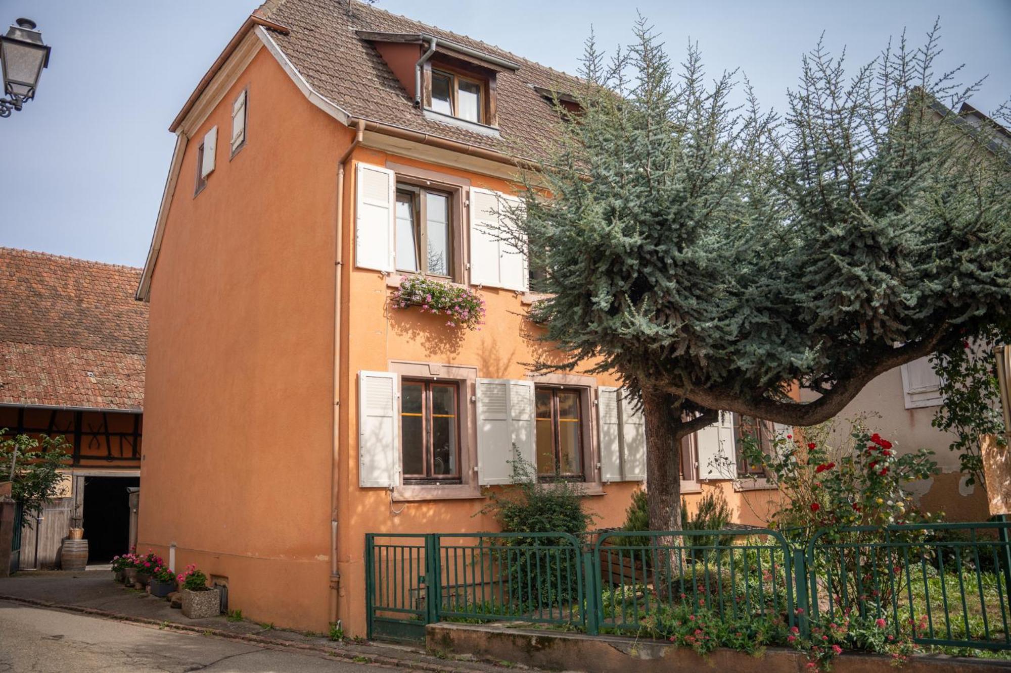 Chambre Rose Des Vents Eguisheim Eksteriør billede